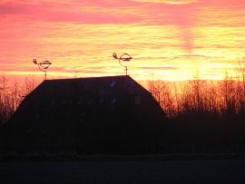 Zonsopgang Juutsom